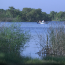 fishing-on-calaveras-lake