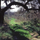 government-canyon-hiking-trail