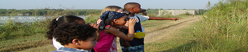 Kids Looking at Shorebirds Mitchell Lake Aududon Center